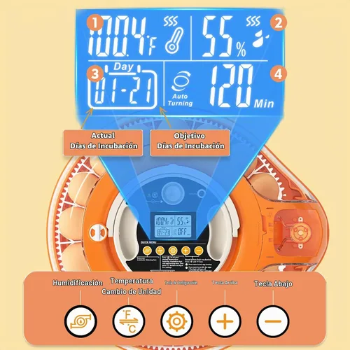 Vista 4 de Incubadora de 26 huevos para incubar huevos, giro automático, control de naranja blanco