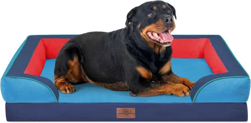 Vista 16 de Comfort Expression - Cama ortopédica para perros medianos, 28 x 19 pulgadas, cama impermeable y de apoyo de espuma con cojines removibles, sofá