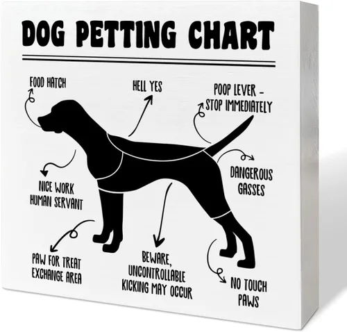Vista 6 de Divertida decoración de escritorio para amantes de los perros, reglas de perro, decoración de perro para la oficina en casa, decoración de A1