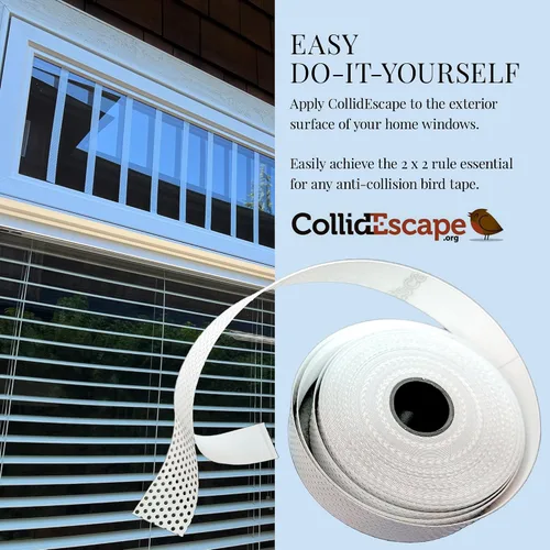 Vista 3 de COLLIDESCAPE Spiderweb - Cinta para Pájaros Transparente para Ventanas (3/4" x 20' - Cubre 1 a 2 paneles) Cintas Adhesivas para Pájaros