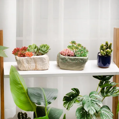 Vista 5 de T4U Maceta de cerámica para suculentas de 5.5 pulgadas con orificio de drenaje, juego de 3, caja rectangular con forma de piedra, contenedores