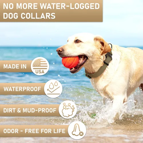 Vista 3 de Biothane - Collar de perro con hebilla de cobra, fabricado en Estados Unidos, etiqueta de identificación con código QR incluida, collares de perro