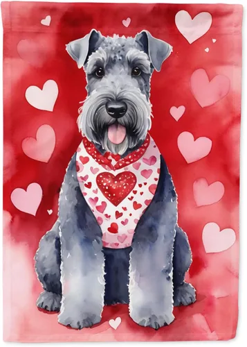 Vista 165 de Caroline's Treasures DAC5252GF Affenpinscher - Bandera de jardín con texto en inglés "My Valentine", bandera decorativa para patio exterior, patio