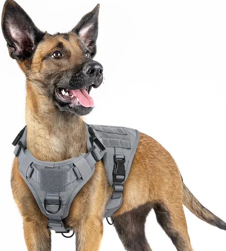 Vista 57 de rabbitgoo - Arnés táctico para perros pequeños, arnés resistente para mascotas con asa, chaleco de servicio sin tirones para razas pequeñas, chaleco