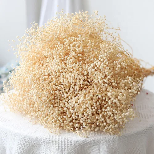Vista 8 de Más de 4000 flores secas de respiración de bebé a granel - Ramo de flores secas de color blanco marfil de 17.2", ramas de gypsophila naturales