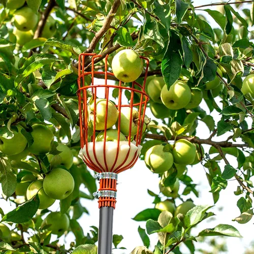 Vista 8 de Walensee Recolector de frutas de 5.5 pies, herramienta ajustable para recoger frutas con poste de acero inoxidable ligero y canasta grande,