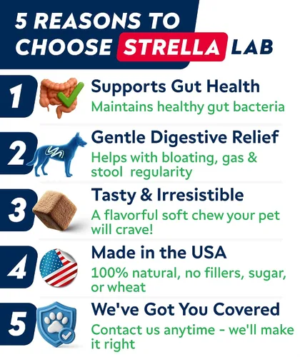Vista 9 de Probióticos para perros para la salud digestiva y enzimas – Diarrea, gases, alivio del malestar estomacal y alergias de temporada – Probióticos