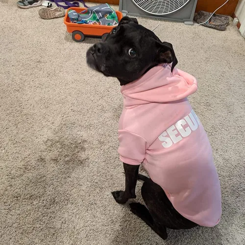 Vista 4 de BINGPET - Sudaderas con capucha de seguridad para perros, suéter para cachorros, abrigos para perros para clima frío, suéter con capucha de forro #1