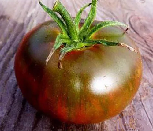 Vista 4 de Semillas de tomate negro Brandywine Heirloom Tomate grande, uno de los tomates más deliciosos para el cultivo casero