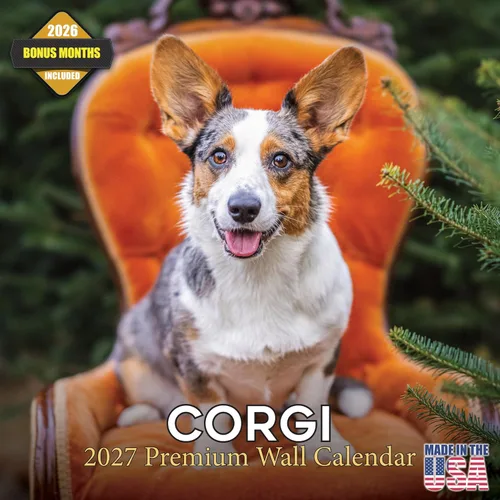 Vista 113 de Calendario de Lebrel Afgano 2025 2026, calendario mensual de pared de raza canina, 12" x 18" abierto, papel grueso sin traspaso, ideal para regalo