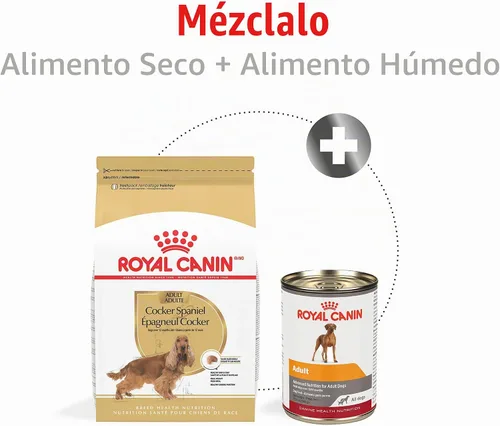 Vista 6 de ROYAL CANIN Cocker Spaniel Alimento seco para perros adultos, bolsa de 6