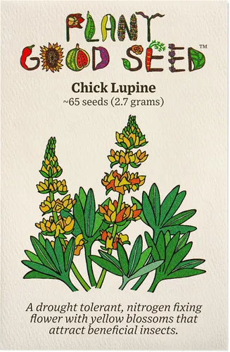 Vista 5 de Plant Good Seed Arroyo Blue Lupine Seeds for Planting: California Native Wildflower, Dark Purple Blossoms - Paquete de 60 semillas