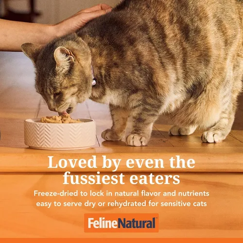 Vista 3 de Alimento para gatos seco de alta proteína Feline Natural, dieta liofilizada con 98% de carne, órganos y mariscos, sin guisantes, granos o aditivos
