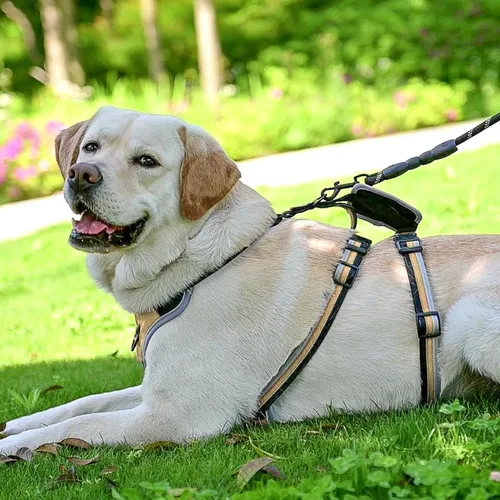 Vista 7 de Mihachi Arnés para perro a prueba de escapes, arnés para perro sin tirones con asa, suave acolchado reflectante y ajustable de cuerpo completo