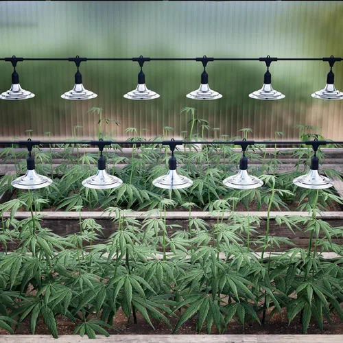Vista 8 de Luces de Cultivo al Aire Libre con Temporizador, Luces de Crecimiento de Invernadero de Espectro Completo con Temporizador para Plantas al Aire