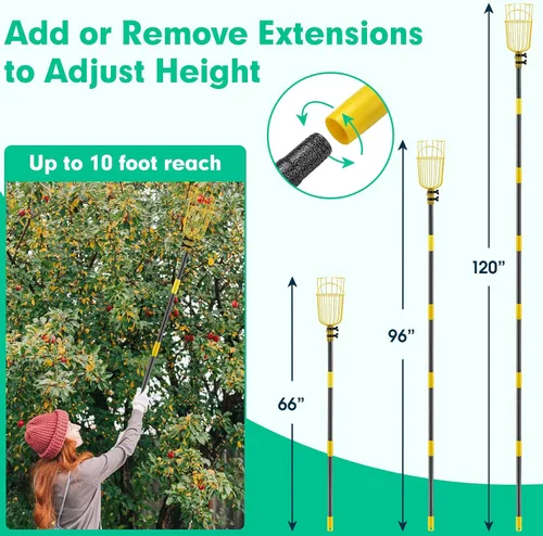 Vista 4 de Lilyvane Recolector de frutas, herramienta para recoger frutas de 66 pulgadas de largo con cesta de frutas, extensión de empalme ajustable