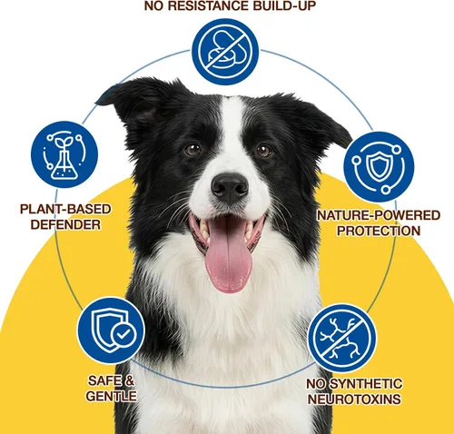 Vista 3 de Prevención natural de pulgas y garrapatas masticables para perros, tratamiento de pulgas y garrapatas para perros, 180 masticables suaves