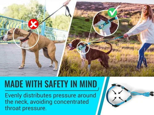 Vista 6 de Collar Martingale para perros, collar de entrenamiento para perros sin tirones y antideslizante, nailon resistente para caminar activamente, hebilla