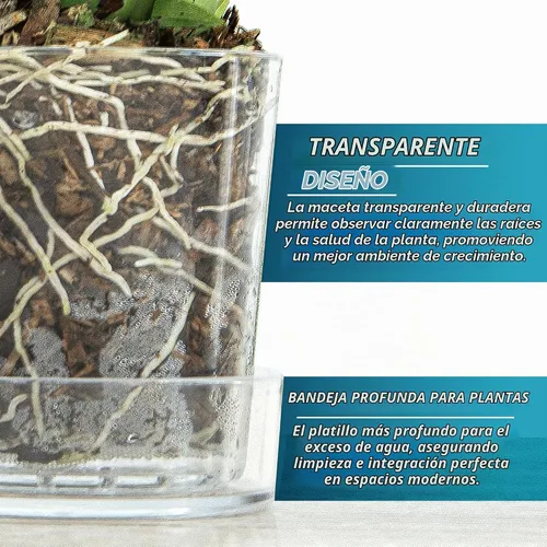 Vista 4 de Maceta Phoenix Vine de 3.5 pulgadas de acrílico transparente con bandeja, maceta para orquídeas con agujeros de drenaje, platillo profundo