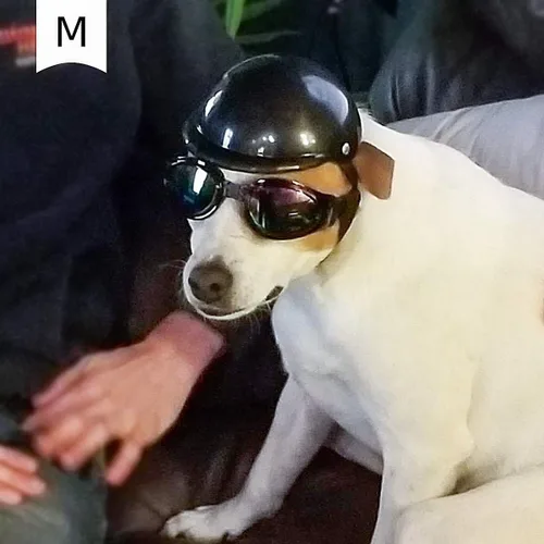 Vista 4 de Enjoying - Casco para perros pequeños a medianos, cascos para perros al aire libre, protección para la cabeza, casco para mascotas con correas