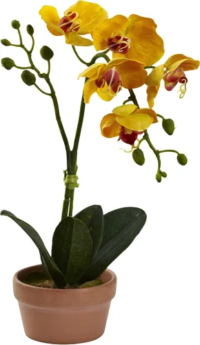 Vista 2 de Nearly Natural Orquídea Phalaenopsis con jarrón de arcilla (juego de 4)