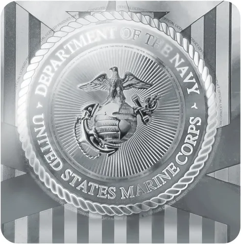 Vista 5 de GRAPHICS & MORE Colgante de placa de perro militar con logotipo blanco en negro con cadena