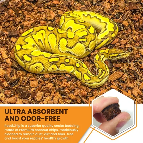 Vista 4 de ReptiChip - Sustrato de reptil con chips de coco de 72 cuartos de galón de capacidad, bloque de cáscara de coco orgánico comprimido para hábitat