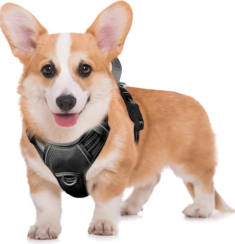 Vista 88 de BARKBAY Arnés para Perro Sin Tirones Talla Grande Arnés Reflectante para Perro con Clip Frontal y Asa de Control Fácil para Caminar Entrenar Correr