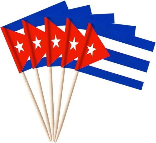 Vista 37 de stidsds 100 banderas de Antigua y Barbuda con palillos de dientes de Antigua y Barbuda, mini adornos pequeños para cupcakes de Antigua y Barbuda