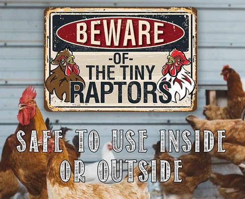 Vista 3 de Beware Tiny Raptors - Divertido letrero de metal de gallinero – 8 x 12 pulgadas o 12 x 18 pulgadas para uso en interiores y exteriores en gallinero