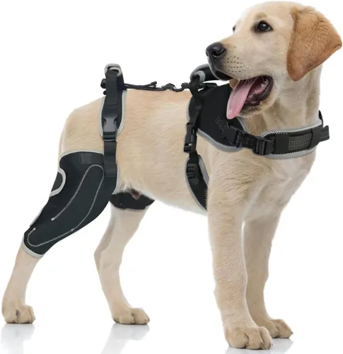 Vista 9 de Rodillera de ACL para perro para pierna desgarrada del ACL, soporte de ACL para piernas traseras de perros, soporte de pierna trasera de perro