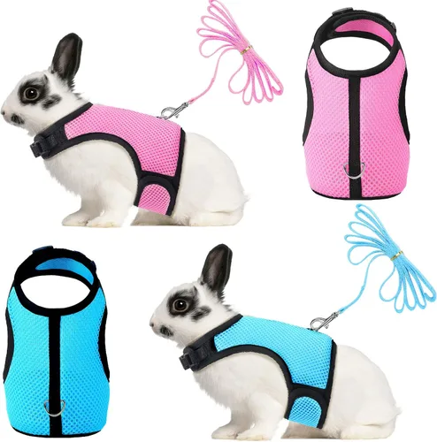 Vista 5 de SATINIOR Arnés de conejo con correa, lindo chaleco de malla transpirable con hebilla ajustable para gatitos, cachorros, mascotas pequeñas