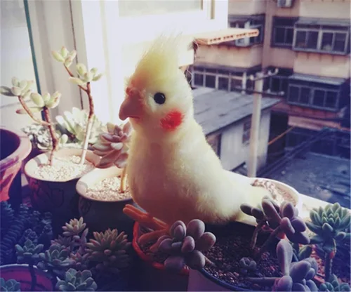 Vista 5 de TAMMYFLYFLY Realista cacatúa pájaro de peluche de pájaro de peluche de pájaro amarillo lindo modelo animal
