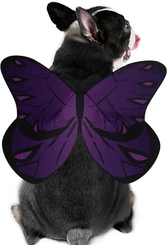 Vista 7 de Disfraz de alas de mariposa para perros y gatos pequeños a grandes - Halloween Rosa