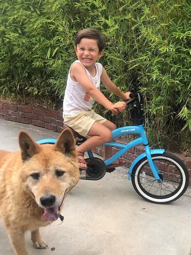 Vista 5 de JOYSTAR Bicicleta de crucero para niños de 12 pulgadas, 14 pulgadas, 16 Azul