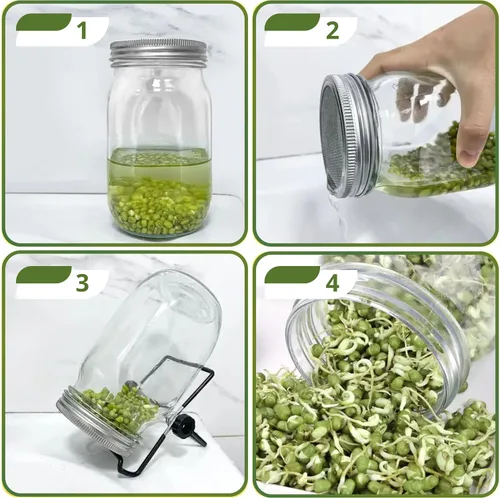 Vista 6 de 4 soportes de germinación para tarro Mason – Kit de germinación de 4 soportes para tarros Mason para boca ancha y regular, kit de soporte de acero
