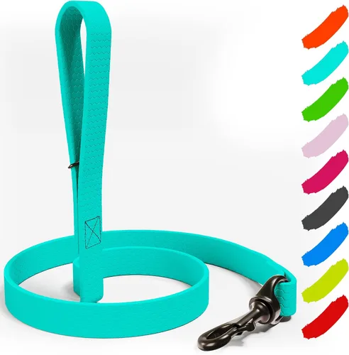 Vista 16 de Correa impermeable para perro, resistente de 6 pies, fabricada en Estados Unidos, color azul