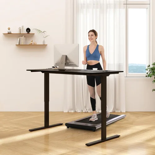 Vista 2 de FLEXISPOT Escritorio eléctrico de pie E3 con motor doble, 48 x 24