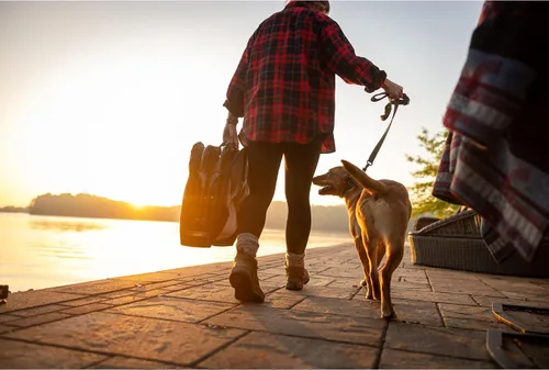 Vista 5 de Momarsh Cuna elevada para perros con almohadilla suave lavable y marco plegable para viajes y uso doméstico Cuna todo en uno con pies