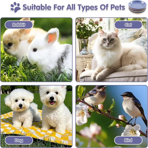 Vista 7 de Paquete de 6 cuencos de cerámica para gatos, cuenco de comida para gatos, juego de cuencos para gatos anti-fatiga de bigotes, platos anchos y poco