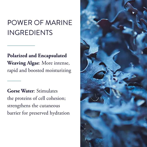Vista 3 de Phytomer Hydrasea - Mascarilla hidratante rehidratante facial Crema hidratante intensa y eficaz para restaurar la humedad y aliviar la piel seca