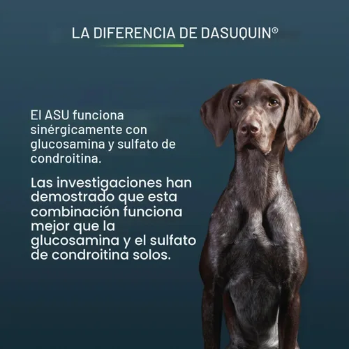 Vista 6 de Nutramax Dasuquin Suplemento para articulaciones para perros grandes, tabletas masticables, 150