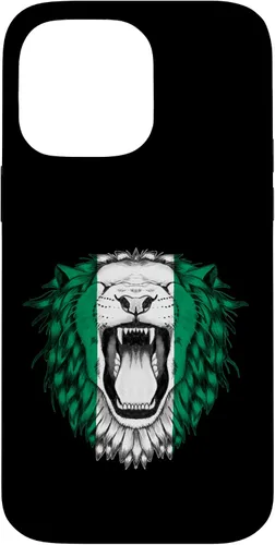Vista 21 de Nigeria Case for iPhone 17