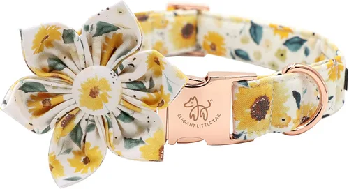 Vista 20 de Collar para perro Elegant little tail de otoño, collares para mascotas de Halloween con flor, lindo estampado de calabaza, collar para cachorro B