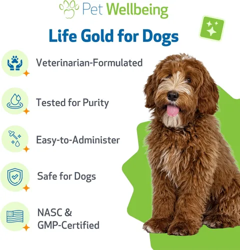 Vista 6 de Pet Wellbeing Life Gold para perros – Apoya la desintoxicación y la salud del sistema inmunológico con astrágalo y acedera de oveja – Certificado