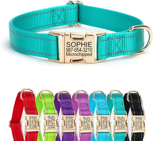 Vista 22 de Collar de perro de nailon reflectante personalizado con etiqueta de nombre Collares de perro con hebilla dorada grabados personalizados Collar