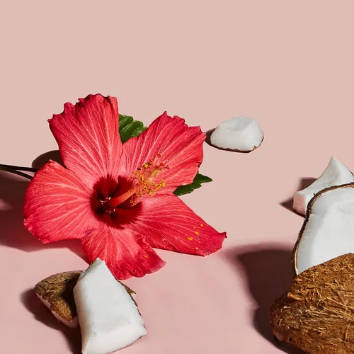 Vista 13 de SheaMoisture Curl & Style Milk Coco e Hibisco con Proteína de Seda y Aceite de Neem para Cabello Grueso, Definido y Rizado Comercio Justo, Sin
