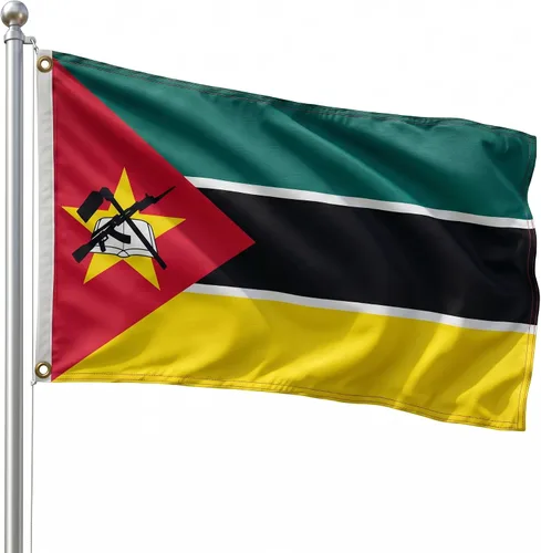 Vista 62 de DMSE - Bandera nacional beninesa beninesa de la República de África Occidental, 2 x 3 pies, 100 % poliéster, 100 % poliéster, resistente a los rayos