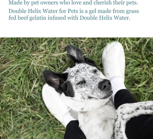 Vista 3 de Suplemento articular para perros, gatos y mascotas - Ayuda a mejorar la digestión y la salud del pelaje, reduce la inflamación, vitaminas para gatos