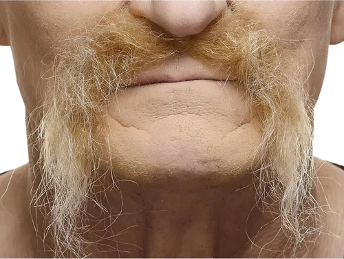 Vista 40 de Mustaches Self-Adhesive Fake Mustache, Synthetic Fur Costume Accessory Set Arqueólogo gris con blanco